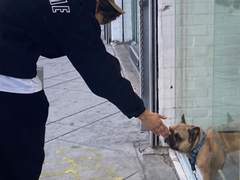 최선을 다해라 4