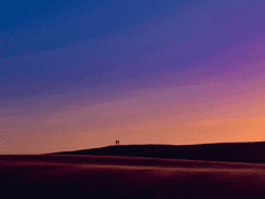 8월의 어느날, 사라진 너를 찾아서