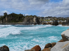 호주의 숨은 보석 탐험: 주류에서 벗어난 모험