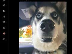 『무능한 나나』란 무엇인가...