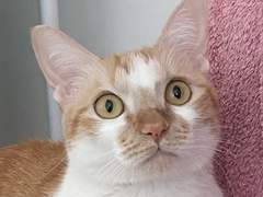 231223 충격과 공포의 퇴화