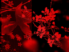 카오루ㅣ女ㅣ요괴