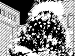 메리 짝사랑 이브!