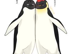 태웅백호/루하나 이거저거 모음