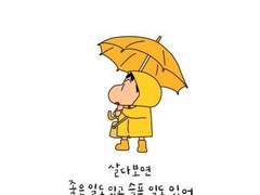 자가면역질환 진단을 받다.