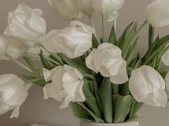 어여쁜 꽃에 나비는 탐미해버립니다.