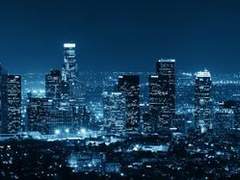 푸른장미의 꽃말