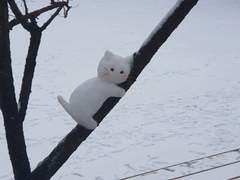 켄마 ,쿠로오 천사님께