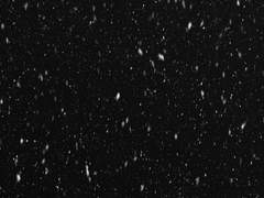 무지에 대한 단상