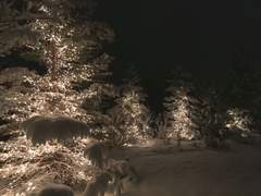 미야 아츠무 천사님을 모십니다