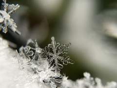 [태섭대만] Better Not Cry