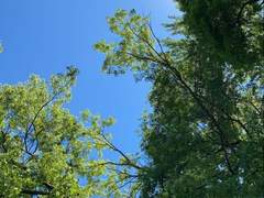 장은석 / 팥붕반 / XY / 7 / 인간