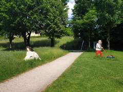 시씨투어 가이드 (오스트리아, 독일, 헝가리 여행 팁)