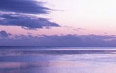 A/불명(외관20)/요정