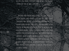 ౨ৎ 메리 크리스마스 타입