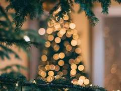 크리스마스 양아치