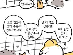 우지도치와 햄쥑홋 크리스마스 이야기