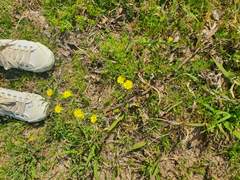 가정폭력 피해자로 산다는 건