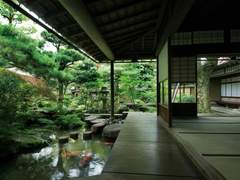 [준호열] 도련님 中