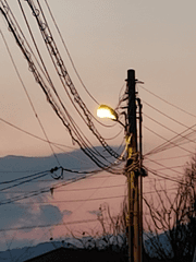 정인이 되고 싶어!!