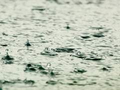 [공각 / 후드조] 닿을 수 없기에 아름다운 것.