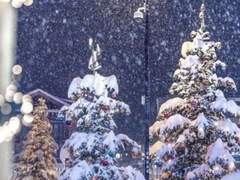 [백천여청명] White Christmas