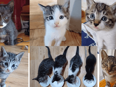 농촌일기 글을 쓰는 이유