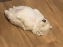 빙의했는데 소설 내용을 모르겠으면...