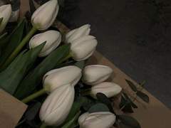 모든 수식어를 붙여도, 그녀를 표현하기엔 모자랐을 뿐이었다.