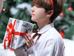 메리 크리스마스