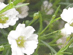 … 인류 최고의 행운?