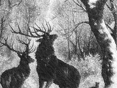 사랑을 할 땐 대사는 필요 없죠