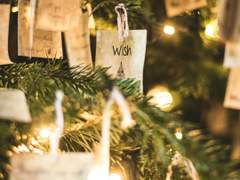 우주가 내게 노래하고 있어