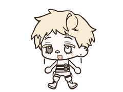 안 보솜 이력서