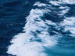 포말을 일으키며