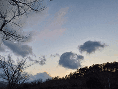 저녁놀 사진 한장