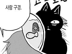 메리크리스마스