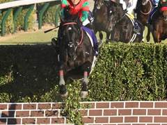 2023 나카야마 대장해