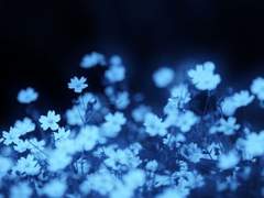 41. 잔소리가 아니야!