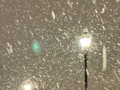 [꿍채] 작전명_CHU