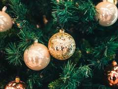 장미에는 가시가 있다.