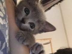 연습생 출신이 알려주는 10kg 빼는 방법