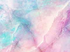 테르 R. 폰 캘리스_엘프_6_마법학부