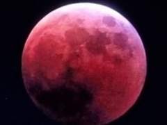 괴도조커소설 6기 챕터1:《괴도리안》