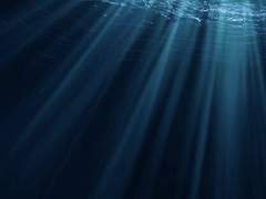 깊은 바닷속 빛나는 빛