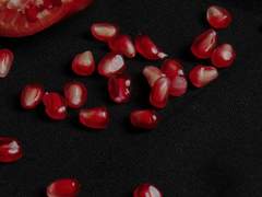 御榴玉梅어류옥매=起기