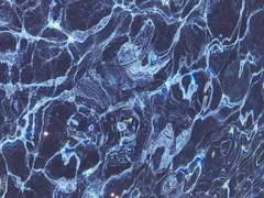 리이민/38/백은룡