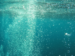 1-1 어린 시절의 그대