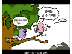 폭스버드 지오그래픽 : 1. 뿌엉의 비행