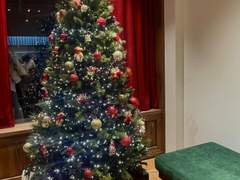 메리 크리스마스